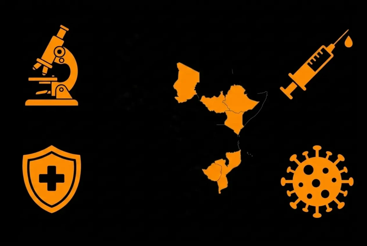 Emerging Infectious Diseases in Chad and Southeast Africa: A Clinical Review of Outbreaks, Surveillance, and Regional Response