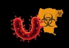 Bundibugyo Virus Disease: Clinical Guide, Outbreak Update, and Public Health Response