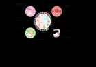 The Menstrual Cycle: Ovarian and Uterine Phases, Mittelschmerz, and Clinical Correlates
