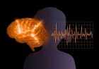 Epilepsy and Electroclinical Syndromes in Children: A Comprehensive Review