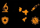 Emerging Infectious Diseases in Chad and Southeast Africa: A Clinical Review of Outbreaks, Surveillance, and Regional Response