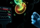 Clinical Case Discussion: Navigating Complex and Drug-Resistant Malaria