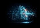 International Evidence-Based Recommendations for Point-of-Care Lung Ultrasound: The 2025 Focused Update