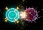 CAR T-Cell Therapy: A Decade of Transforming Cancer Care and Pioneering the Future of Immunotherapy