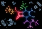 Cephalosporins in Clinical Practice: A Comprehensive Review of Mechanisms, Resistance, and Therapeutic Applications
