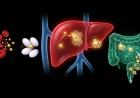 Updated Guide to Neonatal Hyperbilirubinemia: Management Strategies(phototherapy  vs  Exchange Transfusion) for Term and Preterm Infants