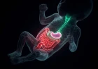The Immature Gut in Motion: A Clinical Framework for Neonatal GI Motility Disorders